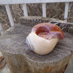 Vintage Candle Holder Ceramic Snail Shell Tea Light